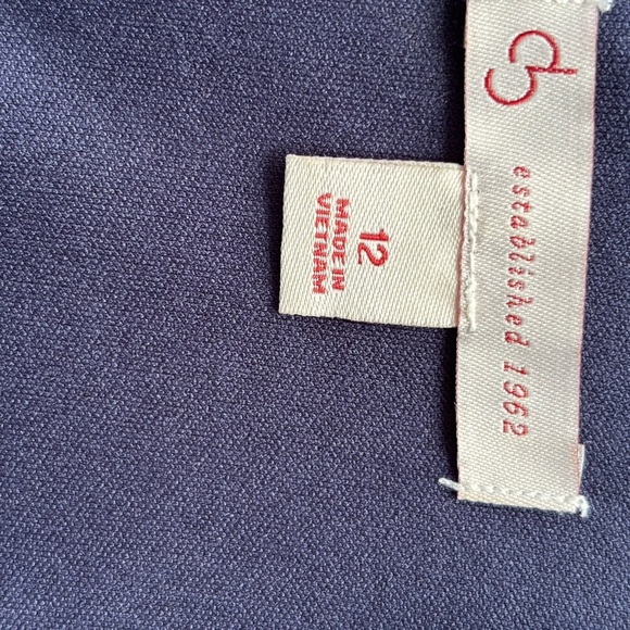 Christopher & Banks Dress Womens 12 Autumn Floral Blue Yellow Work Office Church - Picture 12 of 16